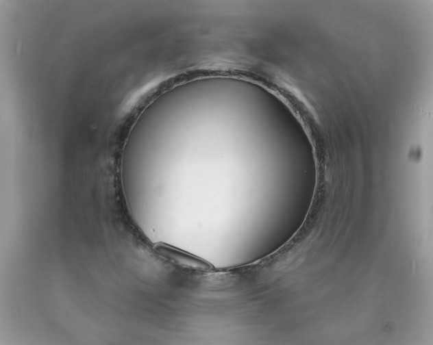 X0000090421304200707272102