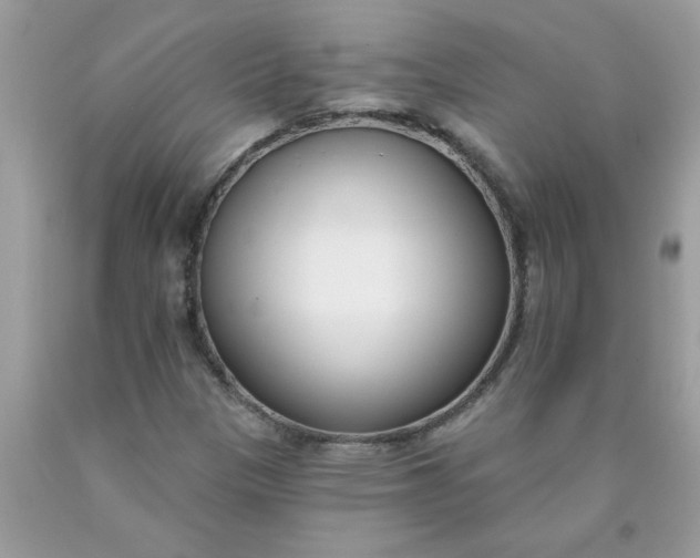 X0000090421305200707272102