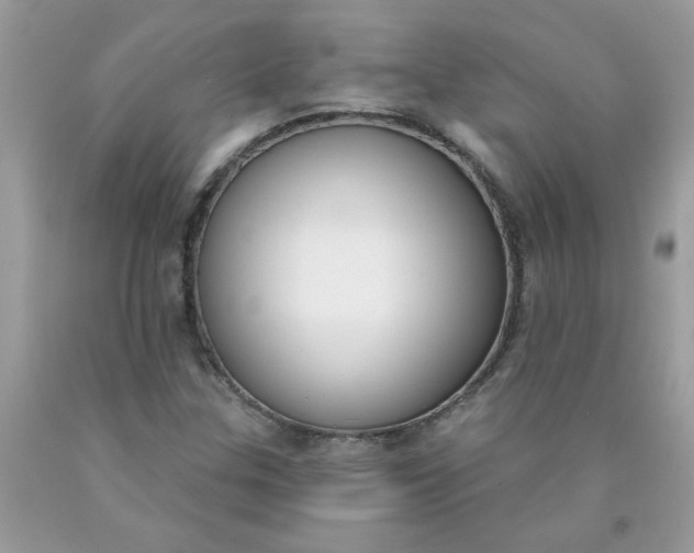 X0000090421307200707272102