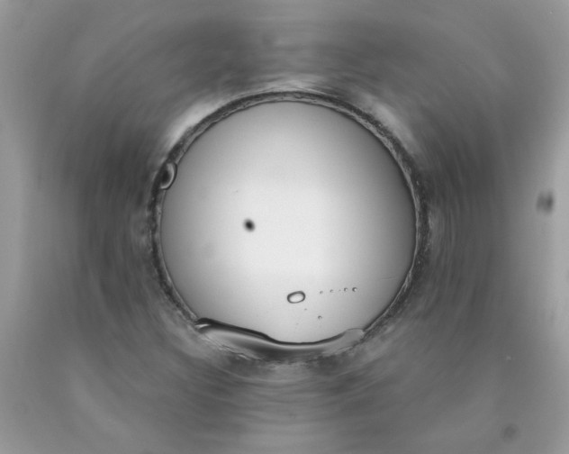 X0000090421308200707272102