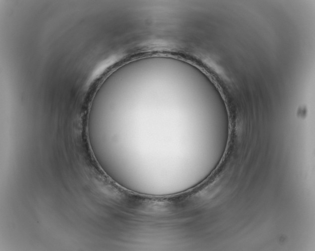 X0000090421309200707272102