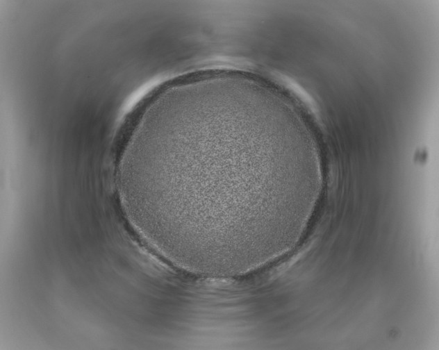 X0000090421310200707272102