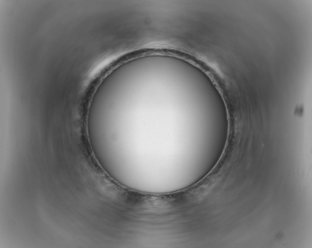 X0000090421311200707272102