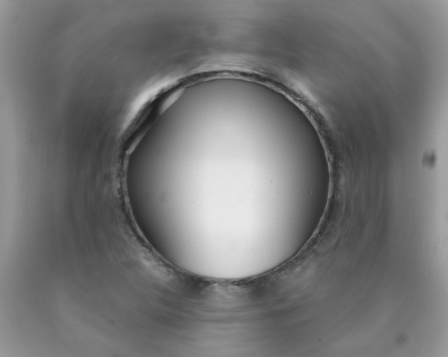 X0000090421312200707272102