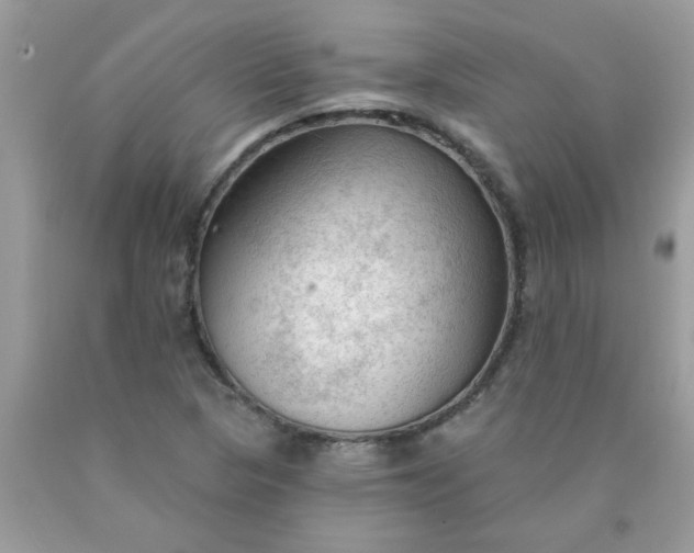 X0000090421313200707272102