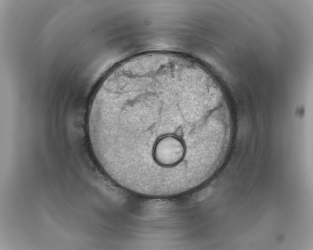 X0000090421314200707272102