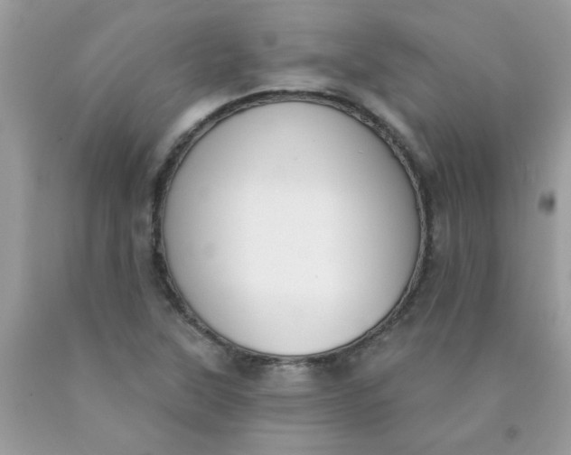 X0000090421315200707272102