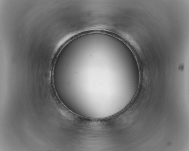 X0000090421316200707272102