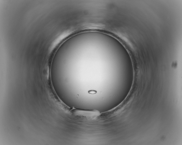 X0000090421317200707272102