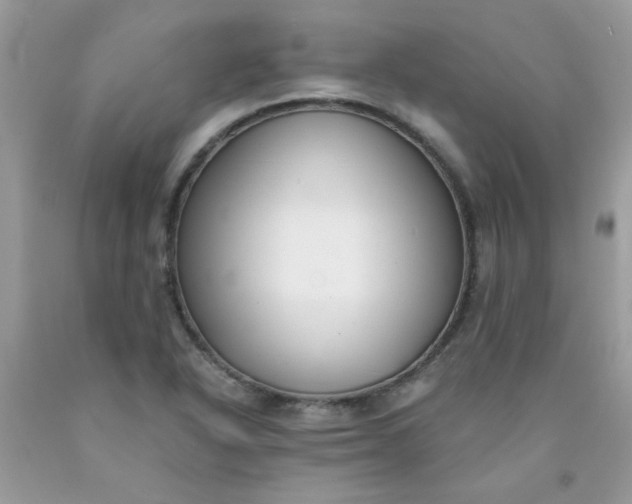 X0000090421318200707272102