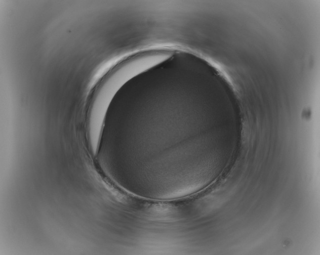 X0000090421319200707272102