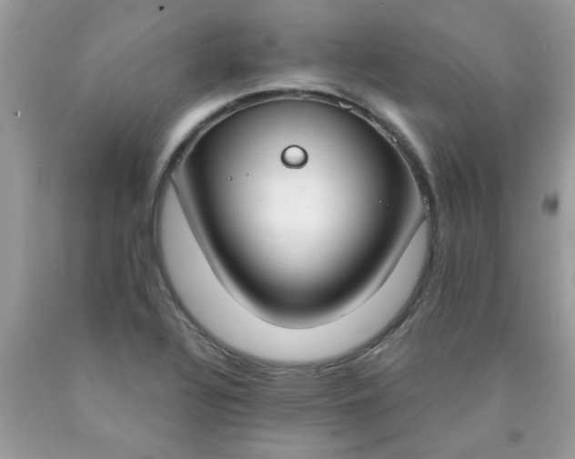 X0000090421320200707272102