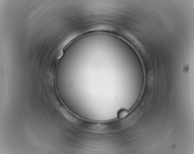 X0000090421321200707272102