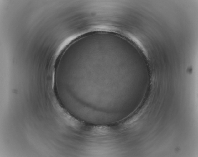 X0000090421323200707272102