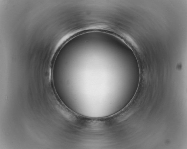 X0000090421324200707272102