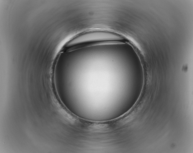 X0000090421325200707272102