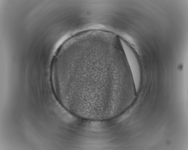 X0000090421326200707272102