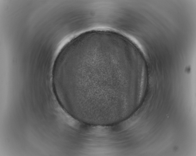 X0000090421327200707272102