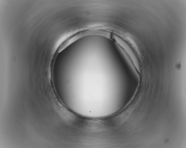 X0000090421328200707272102