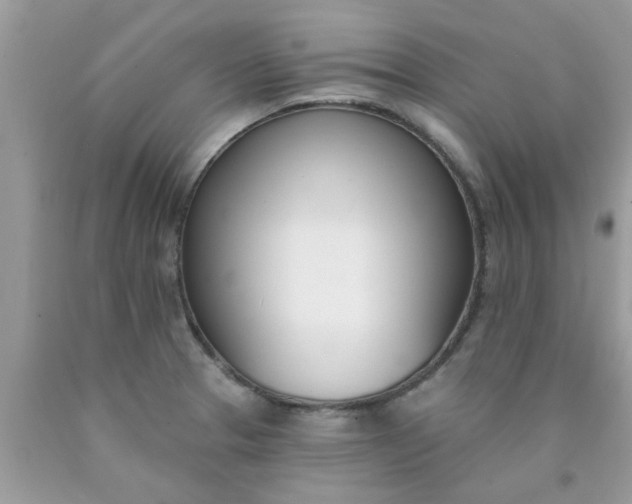 X0000090421329200707272102