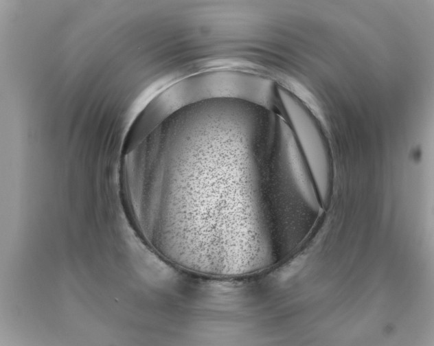 X0000090421330200707272102