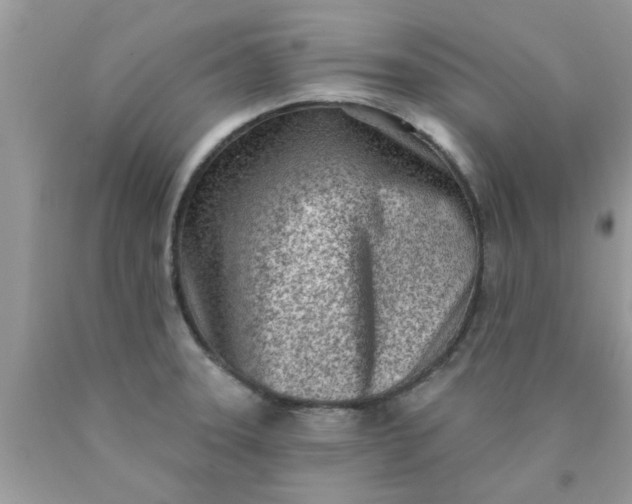 X0000090421331200707272102