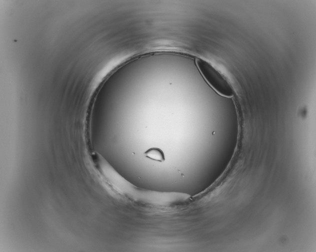 X0000090421333200707272102