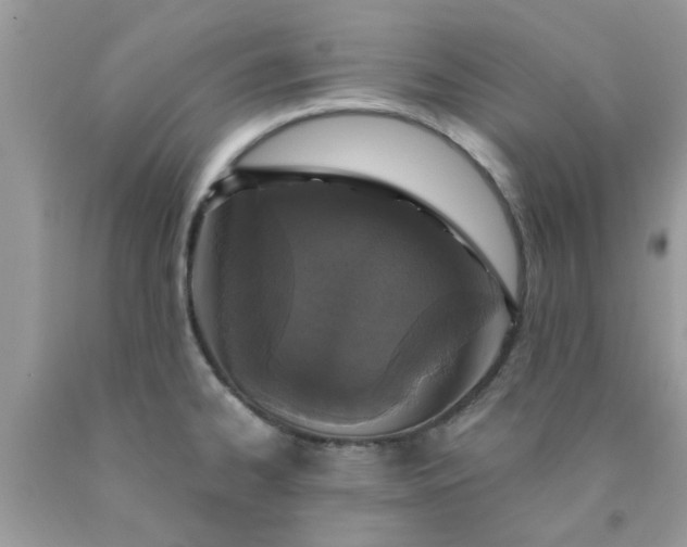 X0000090421334200707272102