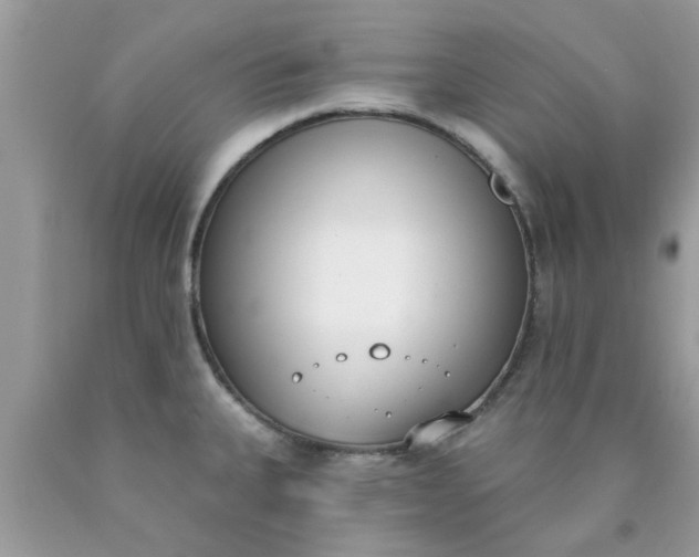 X0000090421335200707272102