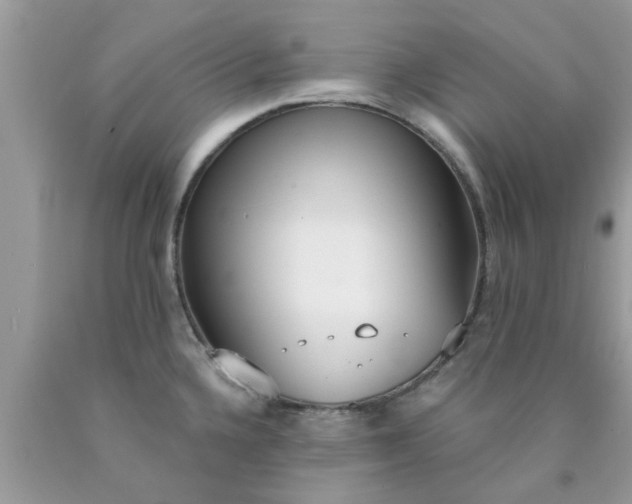 X0000090421336200707272102