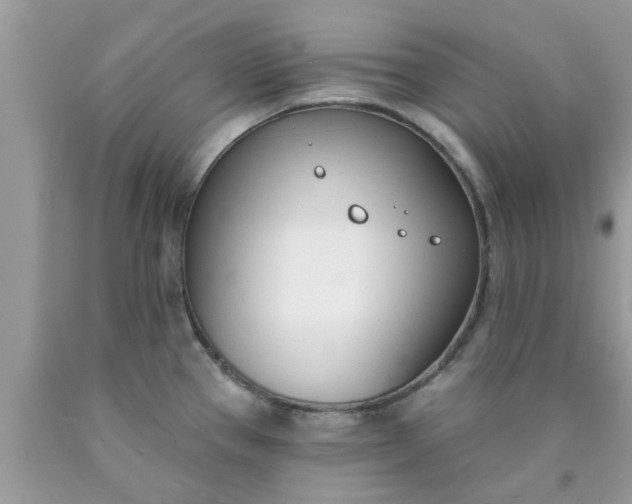 X0000090421337200707272102