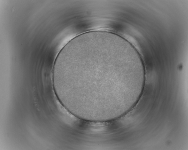 X0000090421338200707272102