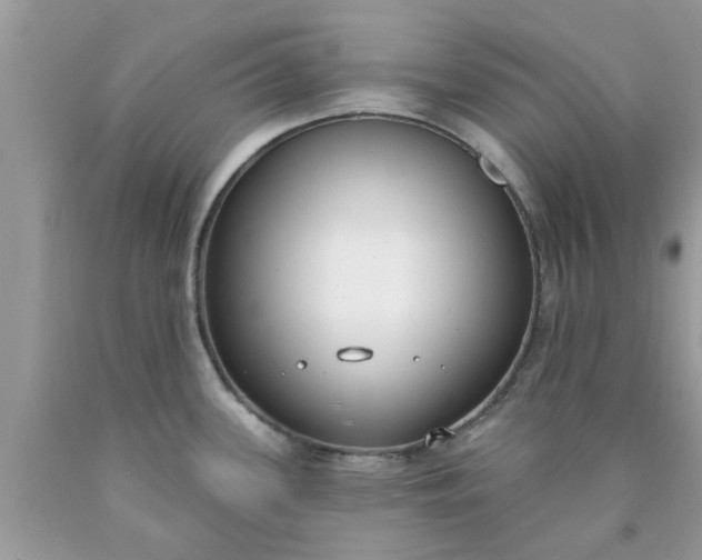 X0000090421339200707272102