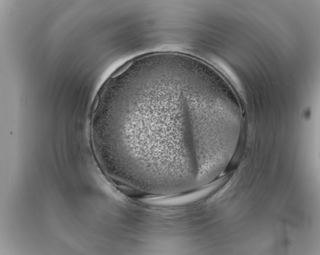 X0000090421340200707272102