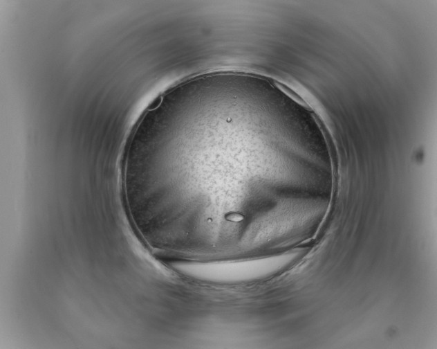 X0000090421341200707272102