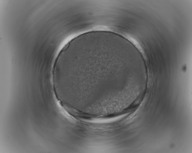 X0000090421342200707272102