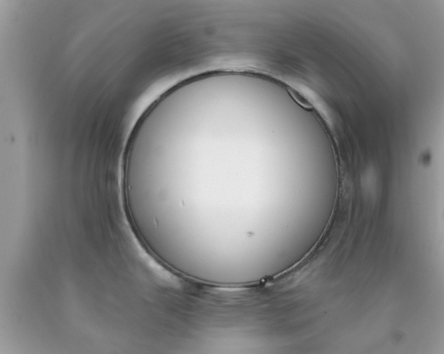 X0000090421343200707272102