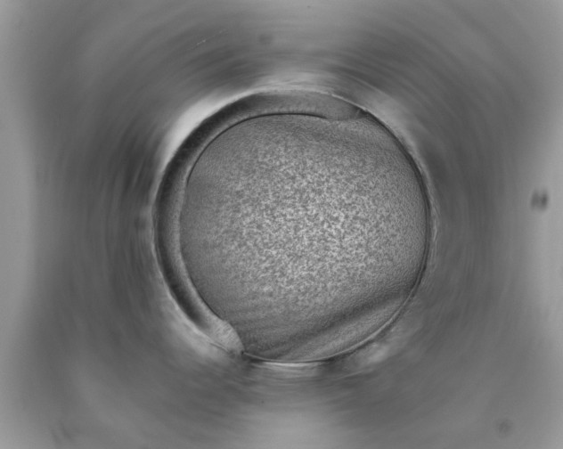 X0000090421344200707272102