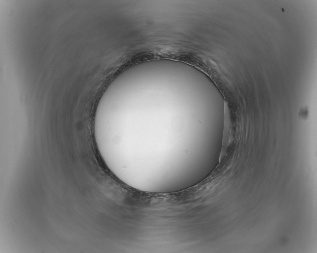 X0000090421345200707272102