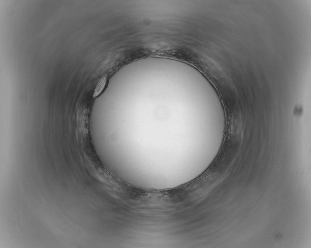 X0000090421346200707272102