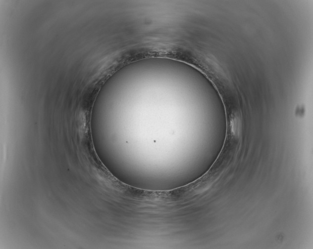 X0000090421347200707272102