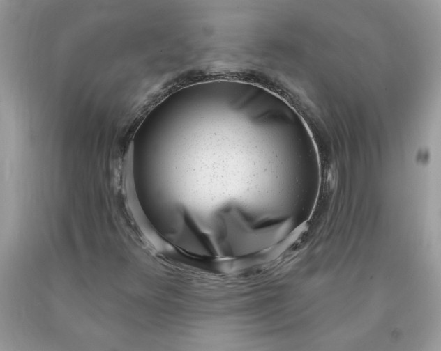 X0000090421348200707272102