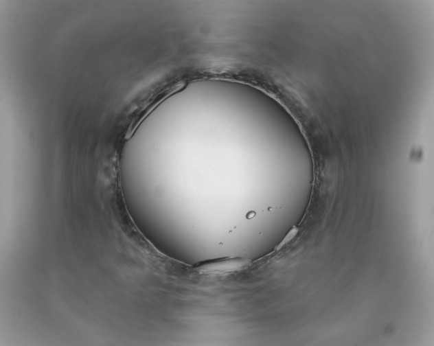 X0000090421349200707272102