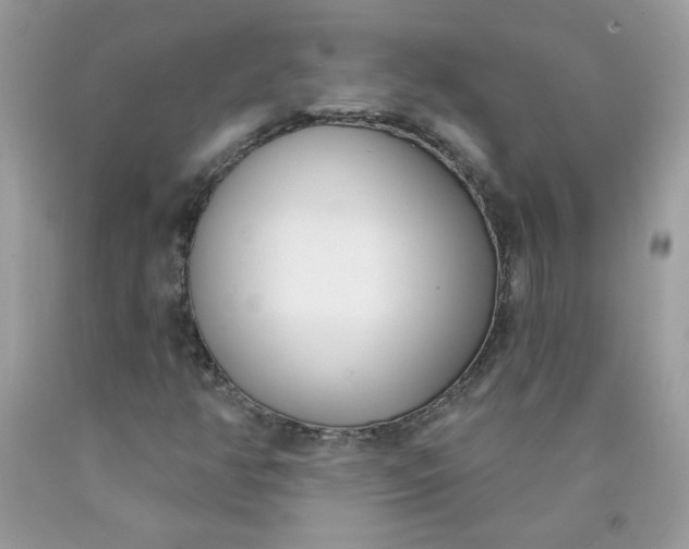 X0000090421350200707272102