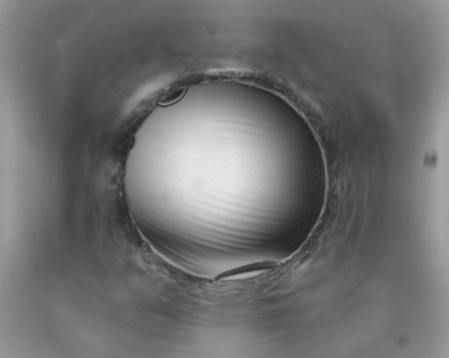 X0000090421351200707272102