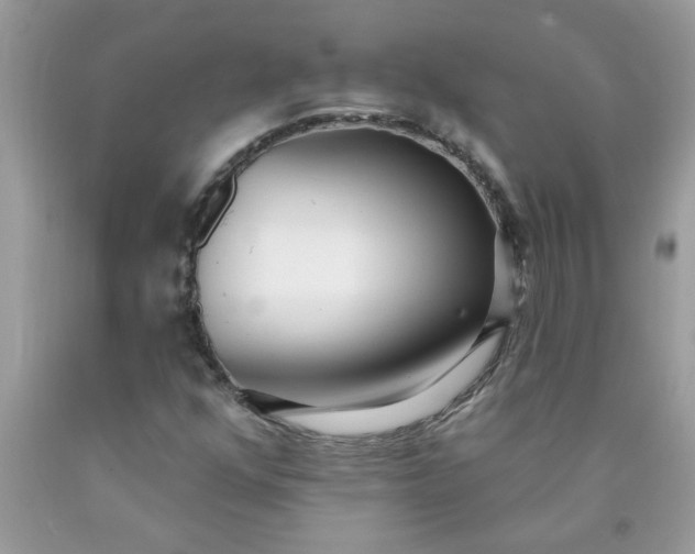 X0000090421352200707272102