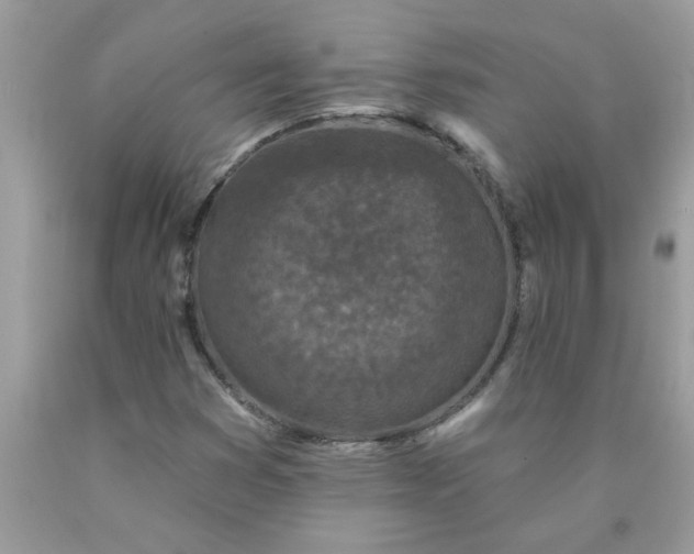 X0000090421353200707272102