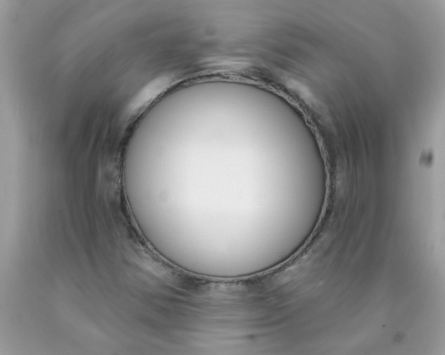 X0000090421354200707272102