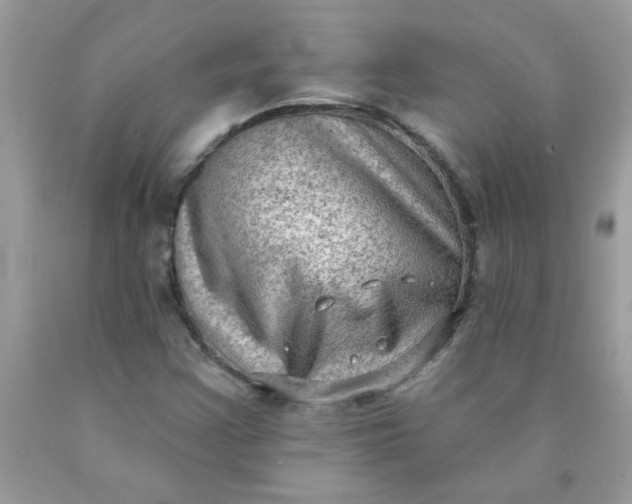 X0000090421355200707272102