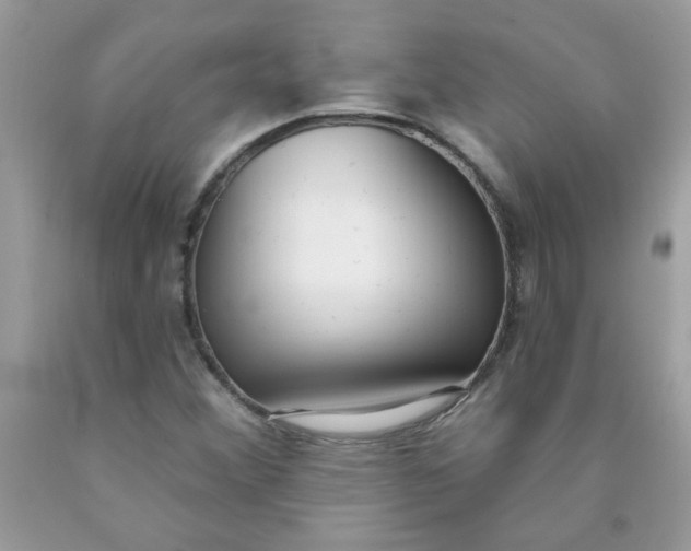 X0000090421356200707272102